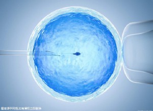 三代供卵试管选性别包生男孩